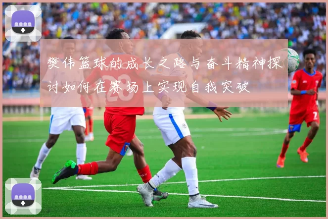 樊伟篮球的成长之路与奋斗精神探讨如何在赛场上实现自我突破