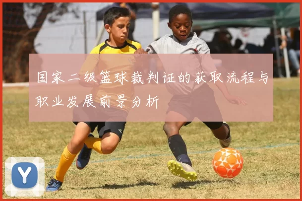 国家二级篮球裁判证的获取流程与职业发展前景分析