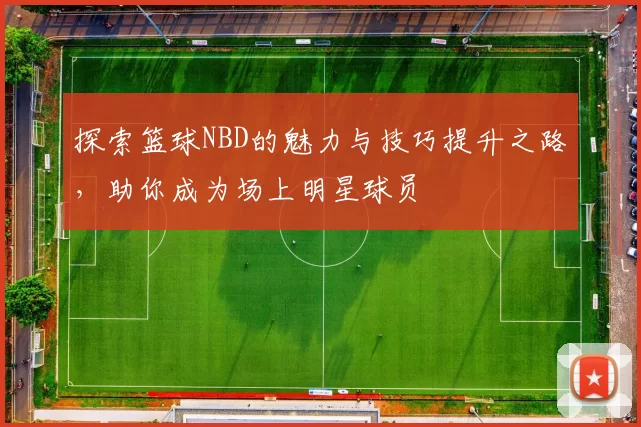 探索篮球NBD的魅力与技巧提升之路，助你成为场上明星球员